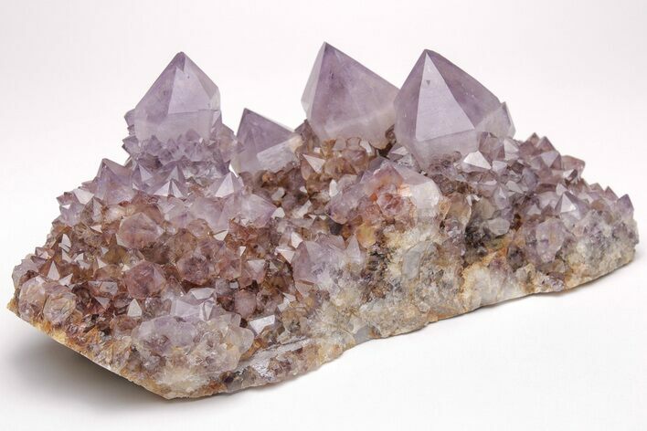 Cactus Quartz (Amethyst) Crystal Cluster - Huge Crystals! #206119